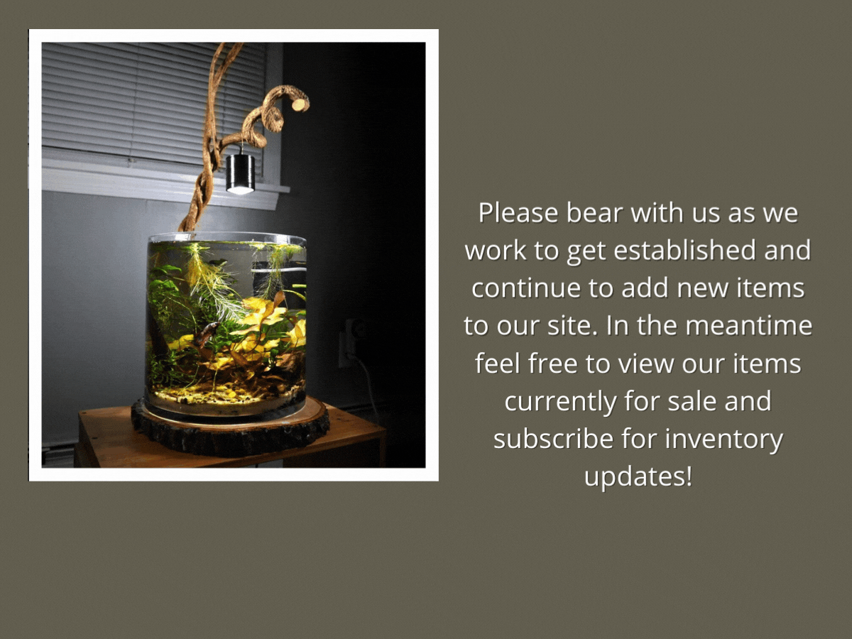 penn plax cascade 170